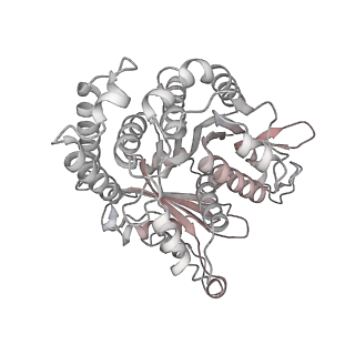 29685_8g2z_GB_v1-0
48-nm doublet microtubule from Tetrahymena thermophila strain CU428