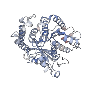 29685_8g2z_GC_v1-0
48-nm doublet microtubule from Tetrahymena thermophila strain CU428