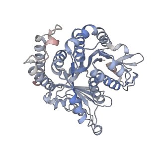 29685_8g2z_GD_v1-0
48-nm doublet microtubule from Tetrahymena thermophila strain CU428