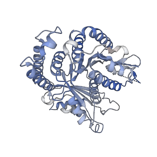 29685_8g2z_GE_v1-0
48-nm doublet microtubule from Tetrahymena thermophila strain CU428