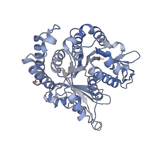 29685_8g2z_GF_v1-0
48-nm doublet microtubule from Tetrahymena thermophila strain CU428
