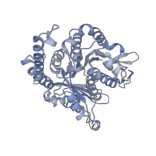 29685_8g2z_GH_v1-0
48-nm doublet microtubule from Tetrahymena thermophila strain CU428