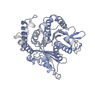 29685_8g2z_GJ_v1-0
48-nm doublet microtubule from Tetrahymena thermophila strain CU428