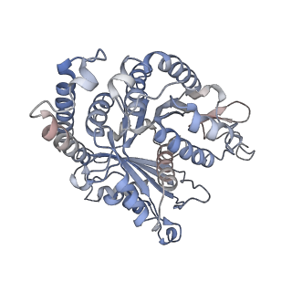 29685_8g2z_GK_v1-0
48-nm doublet microtubule from Tetrahymena thermophila strain CU428