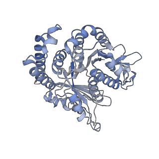 29685_8g2z_GL_v1-0
48-nm doublet microtubule from Tetrahymena thermophila strain CU428