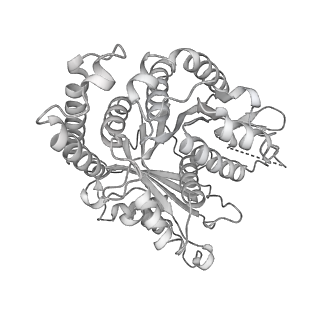 29685_8g2z_GM_v1-0
48-nm doublet microtubule from Tetrahymena thermophila strain CU428