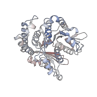 29685_8g2z_GN_v1-0
48-nm doublet microtubule from Tetrahymena thermophila strain CU428