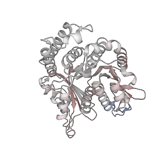 29685_8g2z_HB_v1-0
48-nm doublet microtubule from Tetrahymena thermophila strain CU428