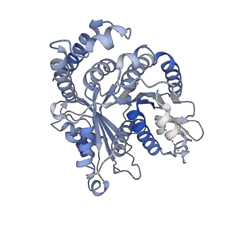 29685_8g2z_HC_v1-0
48-nm doublet microtubule from Tetrahymena thermophila strain CU428