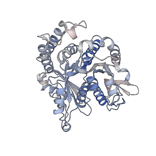 29685_8g2z_HD_v1-0
48-nm doublet microtubule from Tetrahymena thermophila strain CU428