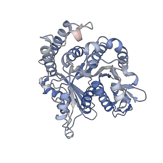 29685_8g2z_HF_v1-0
48-nm doublet microtubule from Tetrahymena thermophila strain CU428
