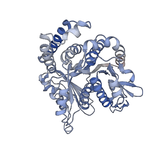 29685_8g2z_HH_v1-0
48-nm doublet microtubule from Tetrahymena thermophila strain CU428