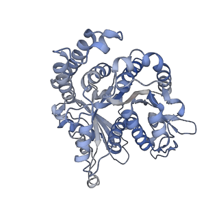 29685_8g2z_HJ_v1-0
48-nm doublet microtubule from Tetrahymena thermophila strain CU428