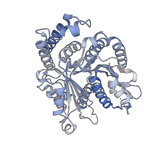 29685_8g2z_HK_v1-0
48-nm doublet microtubule from Tetrahymena thermophila strain CU428