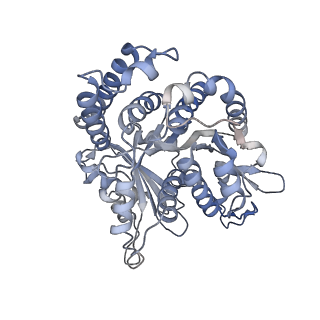 29685_8g2z_HL_v1-0
48-nm doublet microtubule from Tetrahymena thermophila strain CU428