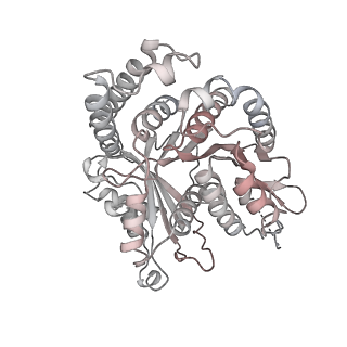 29685_8g2z_HM_v1-0
48-nm doublet microtubule from Tetrahymena thermophila strain CU428