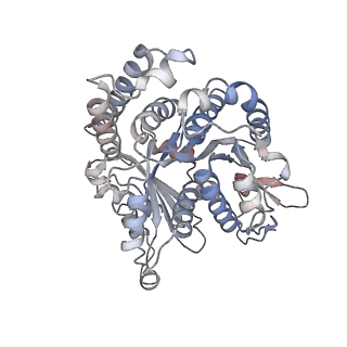 29685_8g2z_HN_v1-0
48-nm doublet microtubule from Tetrahymena thermophila strain CU428