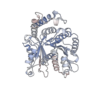 29685_8g2z_IA_v1-0
48-nm doublet microtubule from Tetrahymena thermophila strain CU428