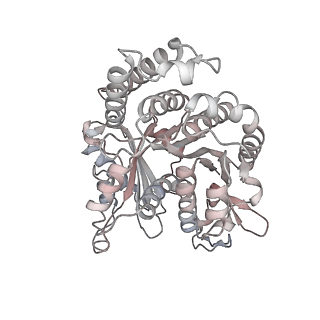 29685_8g2z_IB_v1-0
48-nm doublet microtubule from Tetrahymena thermophila strain CU428
