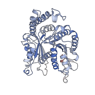 29685_8g2z_IC_v1-0
48-nm doublet microtubule from Tetrahymena thermophila strain CU428