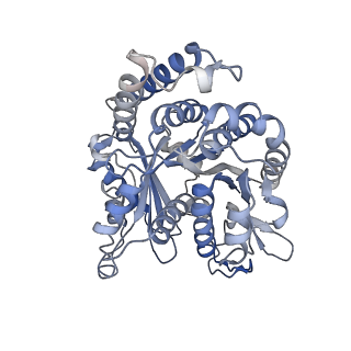 29685_8g2z_ID_v1-0
48-nm doublet microtubule from Tetrahymena thermophila strain CU428