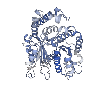 29685_8g2z_IE_v1-0
48-nm doublet microtubule from Tetrahymena thermophila strain CU428