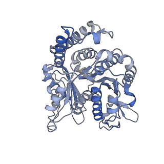 29685_8g2z_IF_v1-0
48-nm doublet microtubule from Tetrahymena thermophila strain CU428