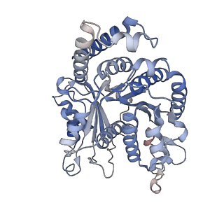 29685_8g2z_IG_v1-0
48-nm doublet microtubule from Tetrahymena thermophila strain CU428