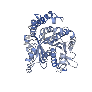 29685_8g2z_IH_v1-0
48-nm doublet microtubule from Tetrahymena thermophila strain CU428