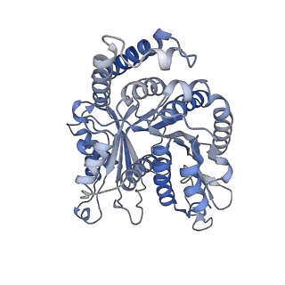 29685_8g2z_II_v1-0
48-nm doublet microtubule from Tetrahymena thermophila strain CU428
