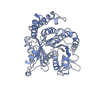 29685_8g2z_IJ_v1-0
48-nm doublet microtubule from Tetrahymena thermophila strain CU428