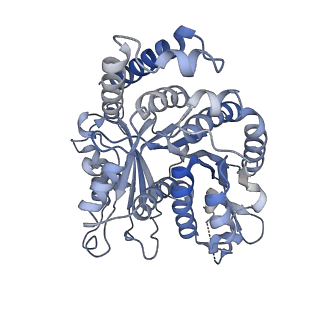 29685_8g2z_IK_v1-0
48-nm doublet microtubule from Tetrahymena thermophila strain CU428