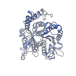 29685_8g2z_IL_v1-0
48-nm doublet microtubule from Tetrahymena thermophila strain CU428