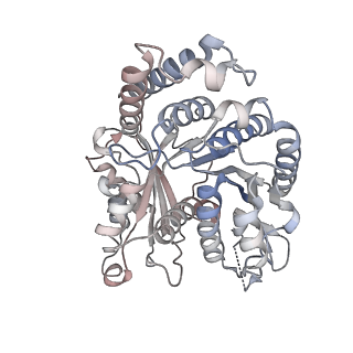 29685_8g2z_IM_v1-0
48-nm doublet microtubule from Tetrahymena thermophila strain CU428