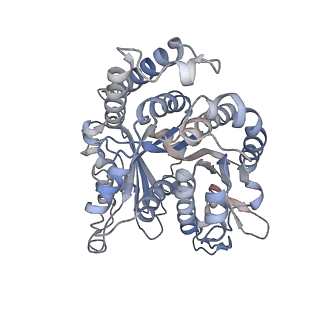 29685_8g2z_IN_v1-0
48-nm doublet microtubule from Tetrahymena thermophila strain CU428