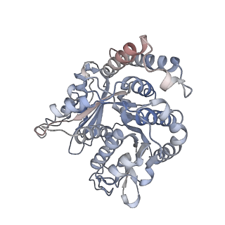 29685_8g2z_JB_v1-0
48-nm doublet microtubule from Tetrahymena thermophila strain CU428