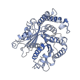 29685_8g2z_JC_v1-0
48-nm doublet microtubule from Tetrahymena thermophila strain CU428