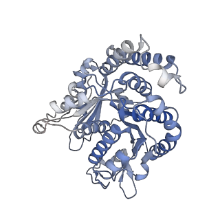 29685_8g2z_JD_v1-0
48-nm doublet microtubule from Tetrahymena thermophila strain CU428