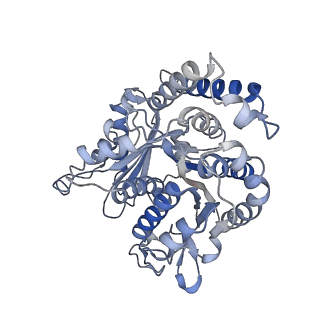 29685_8g2z_JF_v1-0
48-nm doublet microtubule from Tetrahymena thermophila strain CU428