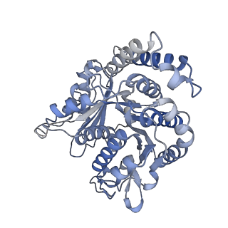 29685_8g2z_JJ_v1-0
48-nm doublet microtubule from Tetrahymena thermophila strain CU428