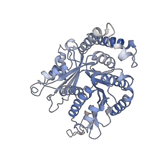 29685_8g2z_JK_v1-0
48-nm doublet microtubule from Tetrahymena thermophila strain CU428