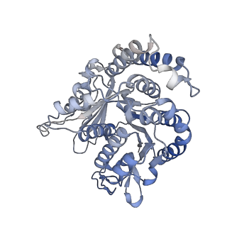 29685_8g2z_JL_v1-0
48-nm doublet microtubule from Tetrahymena thermophila strain CU428