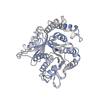 29685_8g2z_JN_v1-0
48-nm doublet microtubule from Tetrahymena thermophila strain CU428