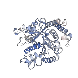 29685_8g2z_KA_v1-0
48-nm doublet microtubule from Tetrahymena thermophila strain CU428