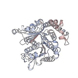 29685_8g2z_KB_v1-0
48-nm doublet microtubule from Tetrahymena thermophila strain CU428