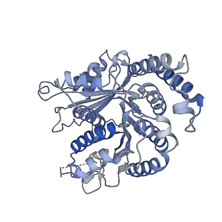 29685_8g2z_KC_v1-0
48-nm doublet microtubule from Tetrahymena thermophila strain CU428