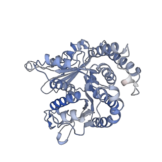 29685_8g2z_KD_v1-0
48-nm doublet microtubule from Tetrahymena thermophila strain CU428