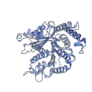 29685_8g2z_KE_v1-0
48-nm doublet microtubule from Tetrahymena thermophila strain CU428