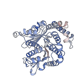 29685_8g2z_KF_v1-0
48-nm doublet microtubule from Tetrahymena thermophila strain CU428