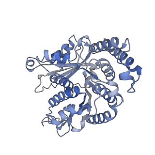 29685_8g2z_KG_v1-0
48-nm doublet microtubule from Tetrahymena thermophila strain CU428